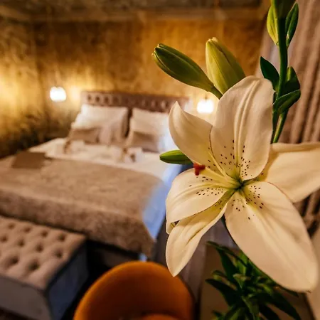 Luxury Vindemiae Guest house 4*
