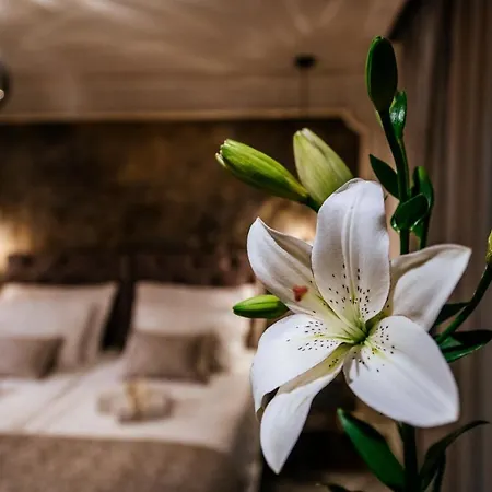 Daire Luxury Vindemiae Zadar