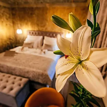 Luxury Vindemiae Διαμέρισμα Ζαντάρ