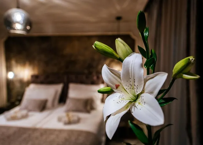 Lägenhet Luxury Vindemiae Zadar